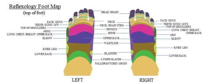 reflexology for teeth and gums